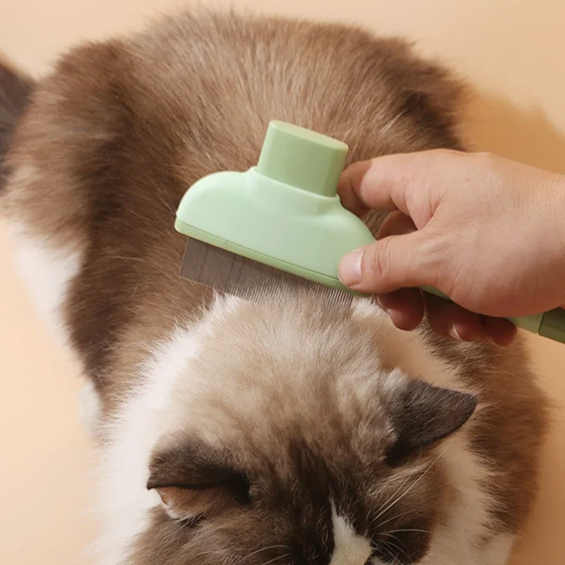 Pet Cat Comb Cat and Dog Hair  - Makeup Beauty Ro 评论和价格
